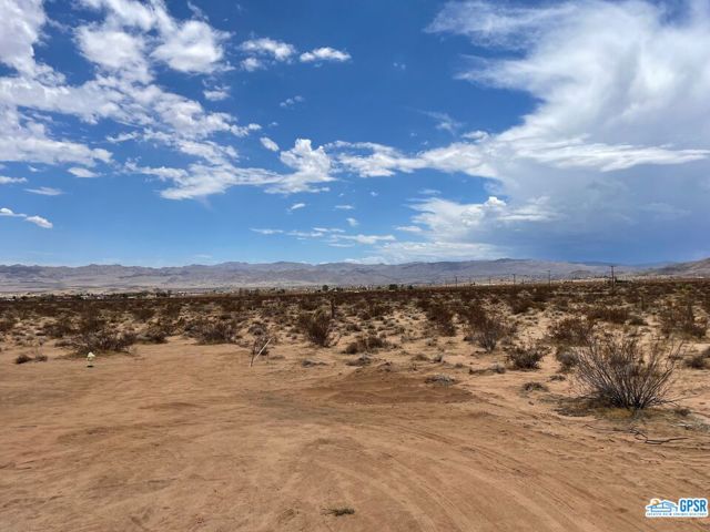 22175831 Listing Image 4