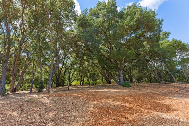 19660 Bainter Way, Los Gatos CA: https://media.crmls.org/mediaz/770c5e85-b815-493b-908d-e850ad9e7f5e.jpg