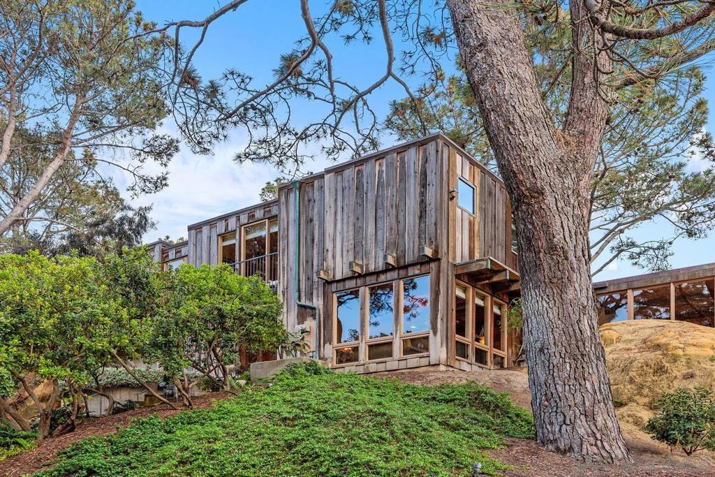 367 Pine Needles Dr - photo 4