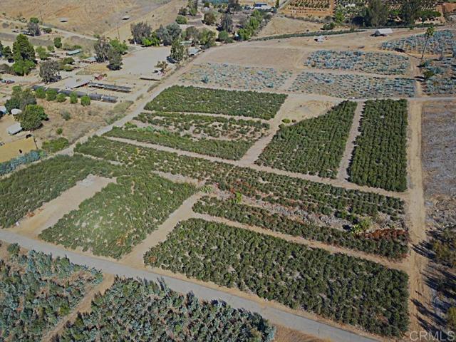 Front Image Thumbnail for CRNDP2509805