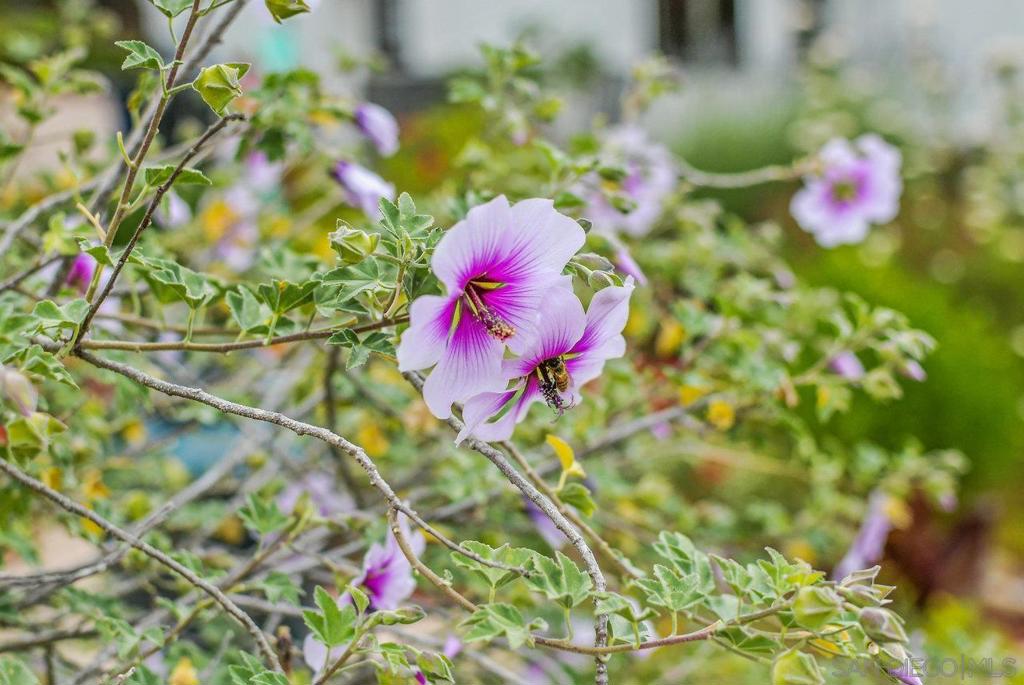 https://media.crmls.org/mediaz/771ef66f-cd27-4993-9d80-e13f0dcd57af.jpg?preset=X-Large