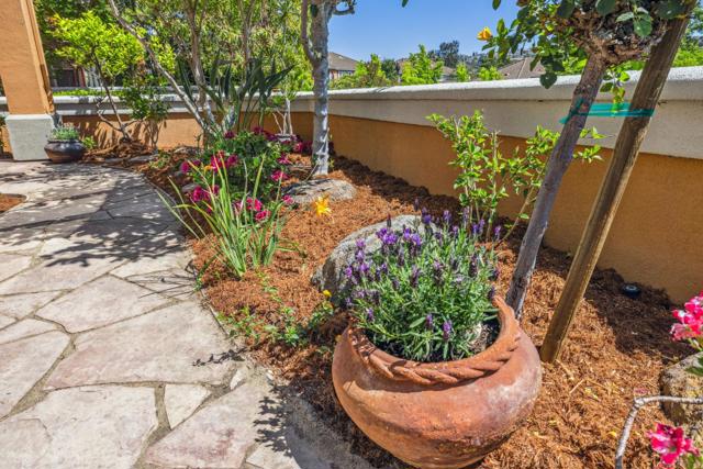 5365 SILVER KNOLL Court, San Jose CA: https://media.crmls.org/mediaz/77201784-0eb6-4cdd-b361-b3df0f89b520.jpg