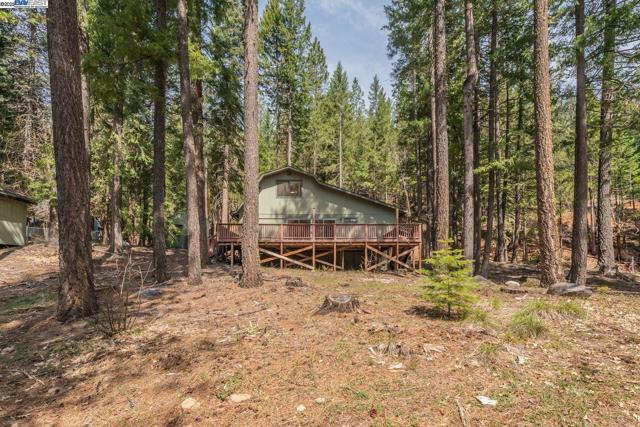 121 Mountain Aire Ln, Trinity Center CA: https://media.crmls.org/mediaz/77216a25-c064-448e-9b35-d9f3a010ff05.jpg