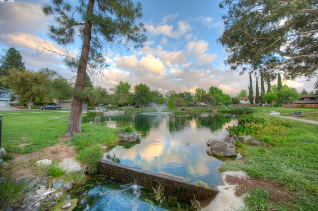 1392 Springview Ct., Concord CA: https://media.crmls.org/mediaz/77235a8a-82c7-4173-9a60-55db282b09f3.jpg