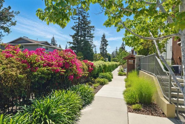 481 Tristania Terrace, Sunnyvale CA: https://media.crmls.org/mediaz/77279c89-00f9-4f20-9481-8bdc8ed1a73d.jpg