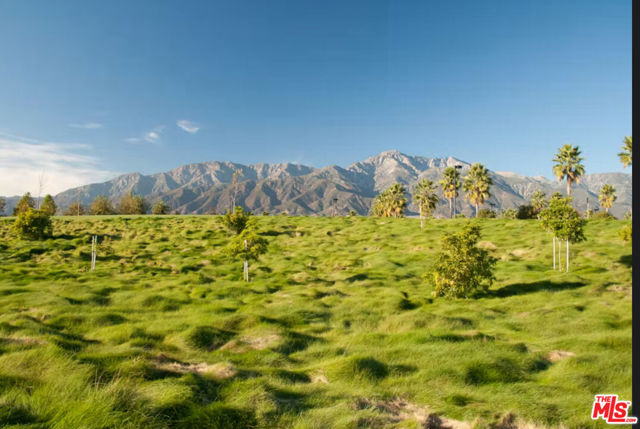 78155 Cabrillo Lane, Indian Wells CA: https://media.crmls.org/mediaz/772aae36-a72a-4b54-80a4-a1916b511f15.jpg