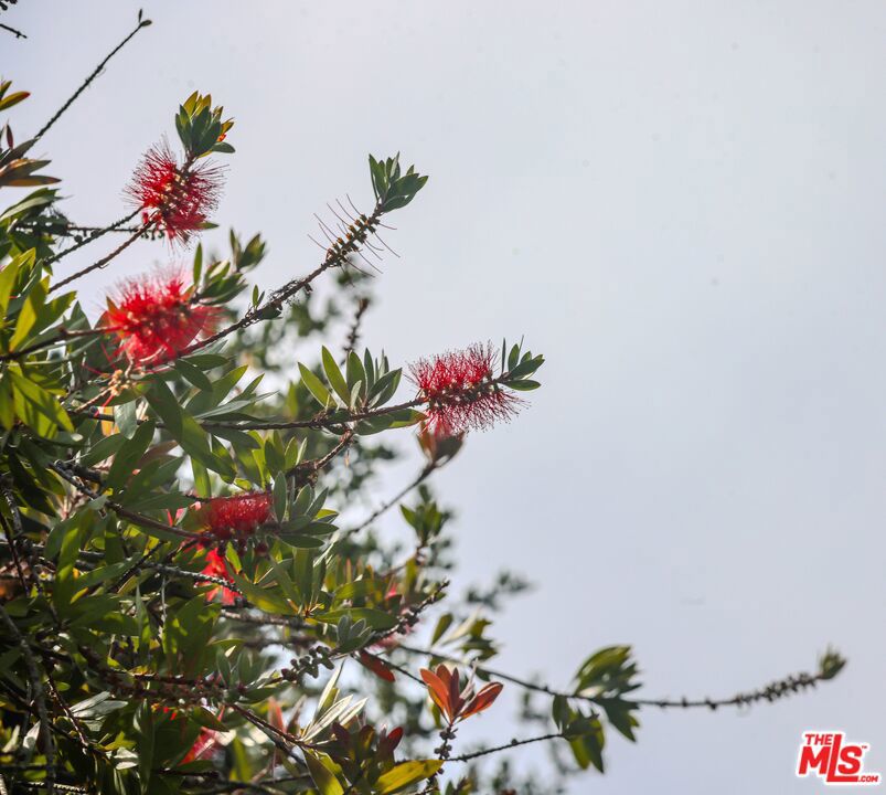 https://media.crmls.org/mediaz/772d56f7-59c3-4e02-ae6d-384376bb4a87.jpg?preset=X-Large