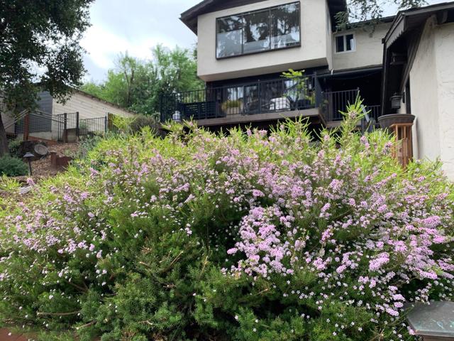 1670 Whitham Avenue, Los Altos CA: https://media.crmls.org/mediaz/773557e8-e579-4dd4-b60e-ac95fa9fe044.jpg