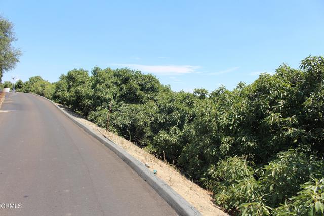 Detail Gallery Image 63 of 72 For 6150 Baja Vista Dr, Somis,  CA 93066 - 7 Beds | 5/2 Baths