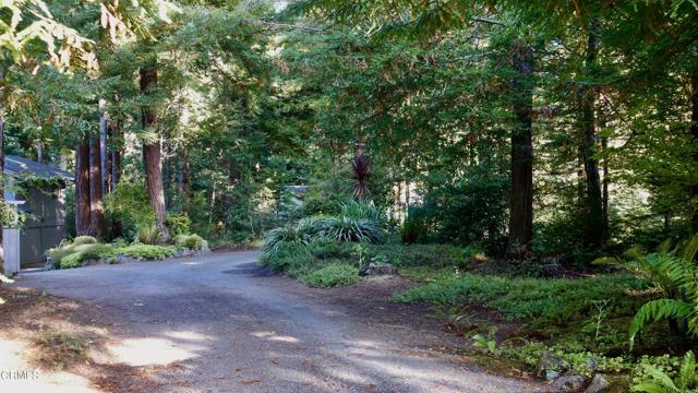 Detail Gallery Image 41 of 42 For 17560 Redwood Springs Dr, Fort Bragg,  CA 95437 - 3 Beds | 2 Baths