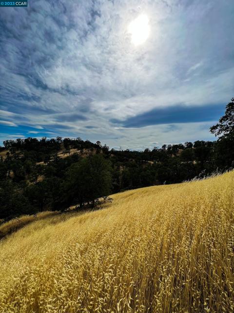 0 Lot 22 Rolling Oaks, Cottonwood CA: https://media.crmls.org/mediaz/77482a7c-2d65-4004-b823-b495b92b5696.jpg