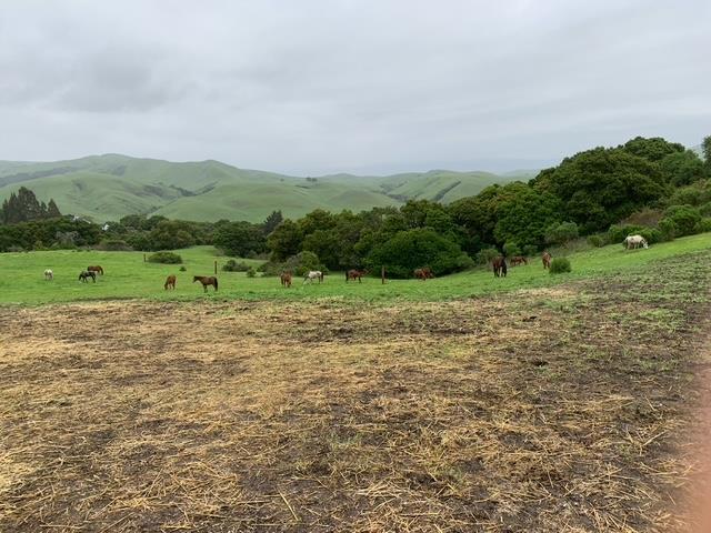 1537 School Road, San Juan Bautista CA: https://media.crmls.org/mediaz/7749fa41-b333-4d87-a954-53aba3de7f21.jpg
