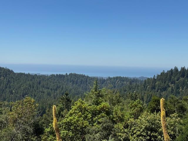 132 Pax Place Court, Aptos CA: https://media.crmls.org/mediaz/774cc549-479b-42b1-9473-41d6e26ec27d.jpg