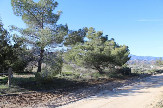 Detail Gallery Image 6 of 41 For 4190 Quatal Canyon Rd, Maricopa,  CA 93252 - – Beds | – Baths