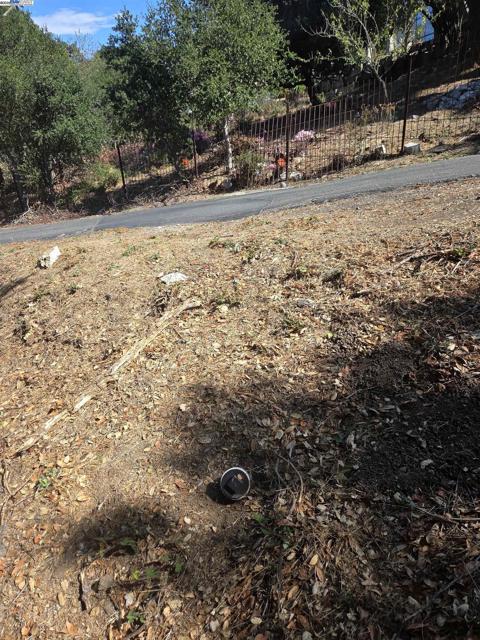 12 Vista Del Orinda, Orinda CA: https://media.crmls.org/mediaz/775474ac-ae7b-4abe-bbd8-593c4d2a0c1e.jpg