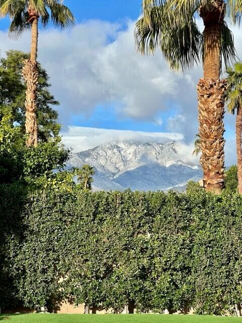 Backyard Mountain View #1