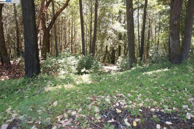 4271 State Hwy 299 Rd, Salyer CA: https://media.crmls.org/mediaz/775e09fe-9e2d-4690-a56a-410d7e408e81.jpg