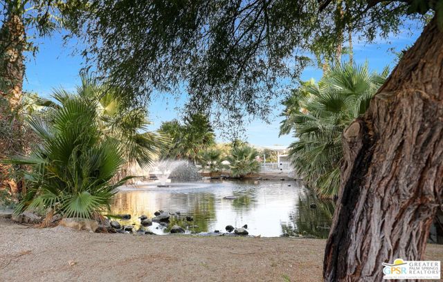 17555 Corkill Rd, Desert Hot Springs CA: https://media.crmls.org/mediaz/7763f8f0-5960-47fc-8a62-64bd4bdee85a.jpg