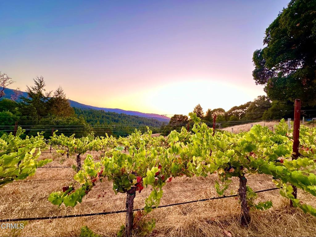 https://media.crmls.org/mediaz/77673ba4-c6b1-4cfc-861a-8c29a4660379.jpg?preset=X-Large