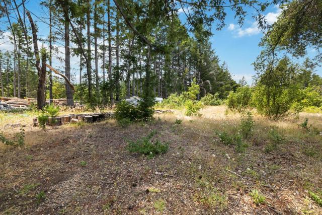 60 Braemoor Drive, Santa Cruz CA: https://media.crmls.org/mediaz/77692876-9ba1-4bfd-b373-c752fce88f55.jpg