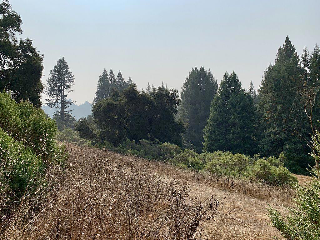 MLS #ML81810757 image #55