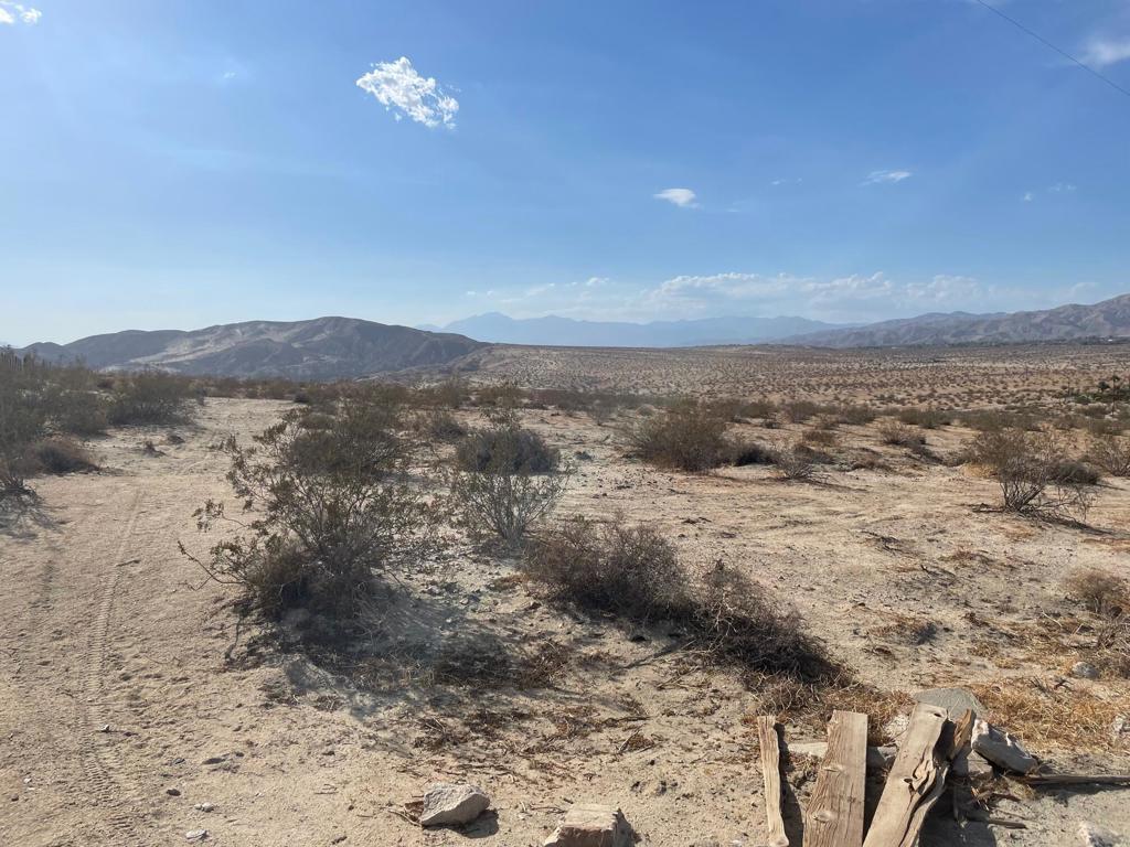 MLS #219138408DA image #8