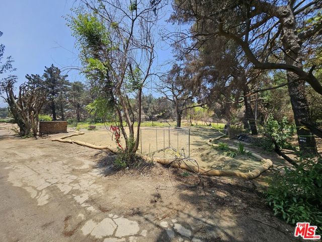 3771 Alzada Road, Altadena CA: https://media.crmls.org/mediaz/777ed467-35a8-484c-ba21-8ba032a84fcd.jpg