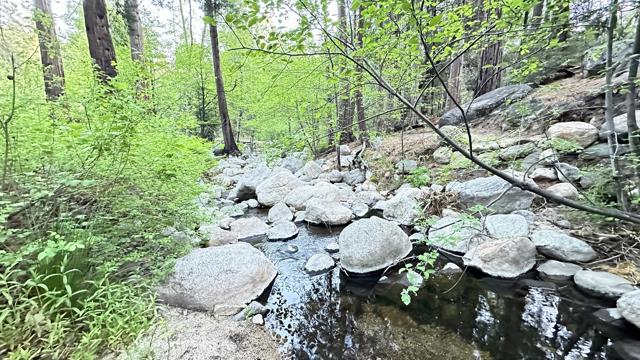 25655 Tahquitz Drive, Idyllwild CA: https://media.crmls.org/mediaz/7786f6ed-91f2-4c2a-bdf1-6158c975aa60.jpg