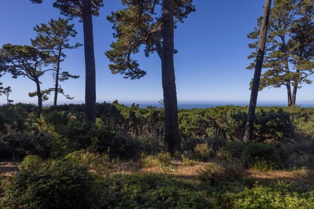 22 Ocean Pines Lane, Pebble Beach CA: https://media.crmls.org/mediaz/77890c4e-df50-4009-9890-ab659567682e.jpg