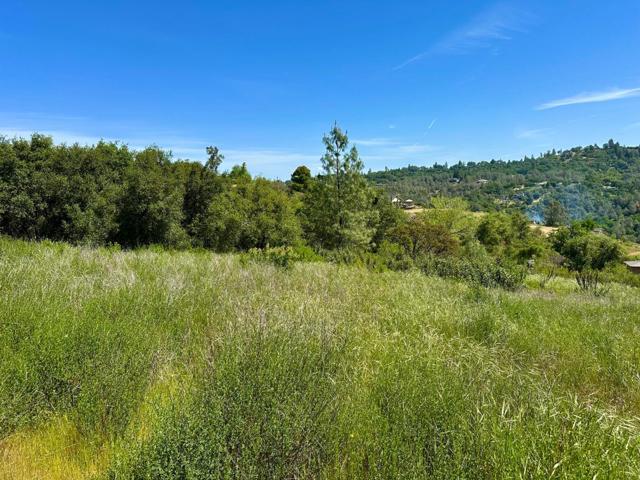 Image 11 of 19 For 0 El Caminito Road