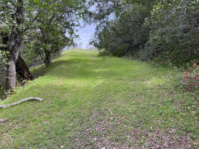 11 Little Uvas Road, Morgan Hill CA: https://media.crmls.org/mediaz/778adcab-52de-4390-aff4-1c6108320218.jpg