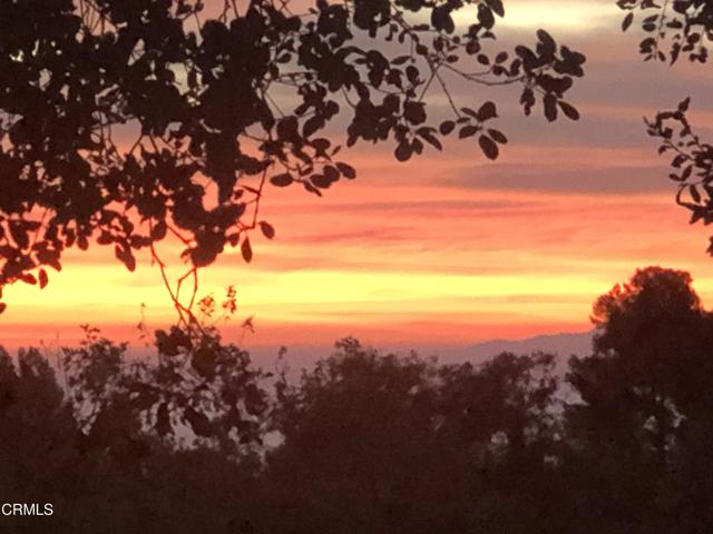 2880 Holliston Avenue, Altadena CA: https://media.crmls.org/mediaz/778ae624-96a6-442f-9a94-1065dec94442.jpg