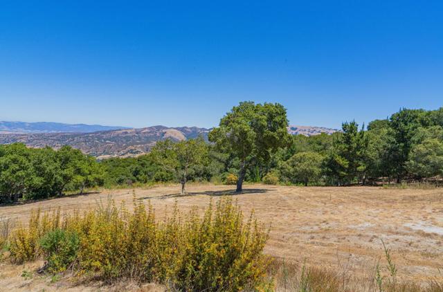 12167 Saddle Road, Carmel Valley CA: https://media.crmls.org/mediaz/778bc55f-e889-48a0-ad1e-5eaae8b8c8ff.jpg