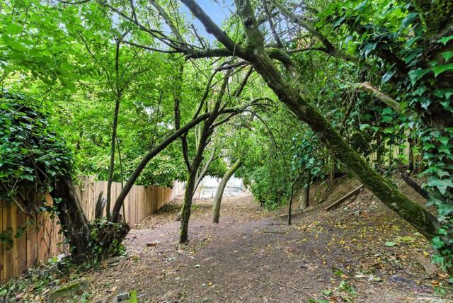 662 Colby Street, San Francisco CA: https://media.crmls.org/mediaz/778f3f5e-f560-4b78-b5ea-2bfb1c18d4b1.jpg