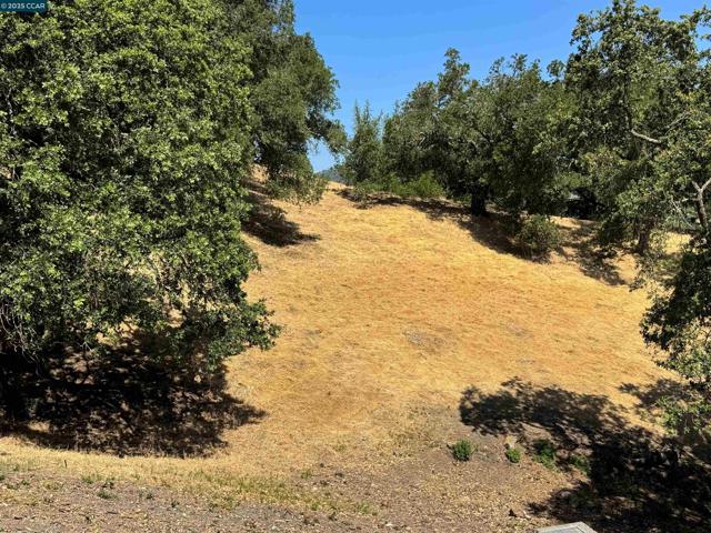 18 Diablo Oaks Way, Lafayette CA: https://media.crmls.org/mediaz/7795a1cc-dfa3-4dea-8020-5b90b04562c0.jpg