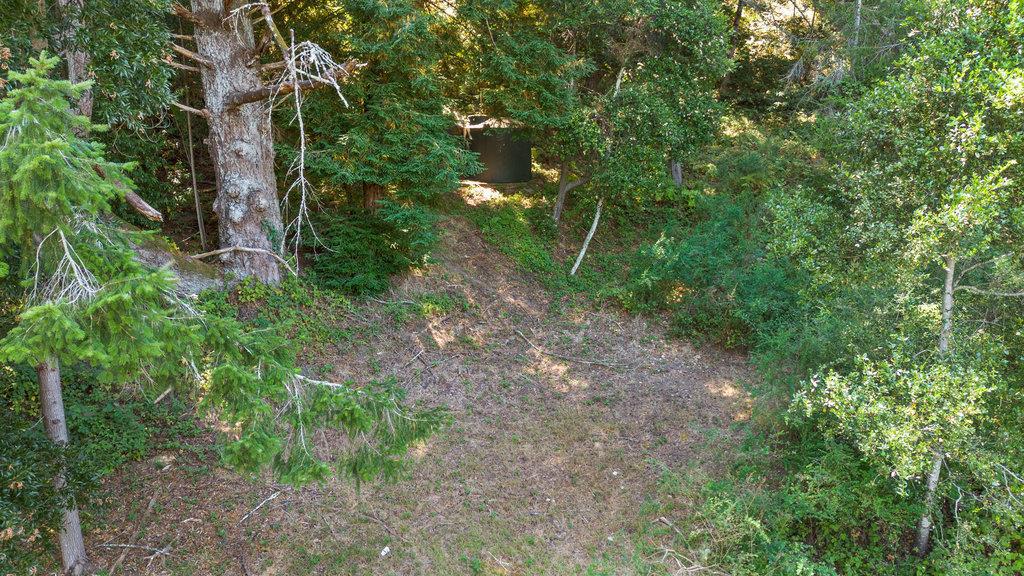 MLS #ML82019042 image #35