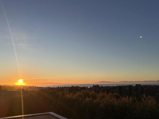 623 High Street, Santa Cruz CA: https://media.crmls.org/mediaz/779abf9b-622c-472d-a2fc-0dd35bcd9ebc.jpg