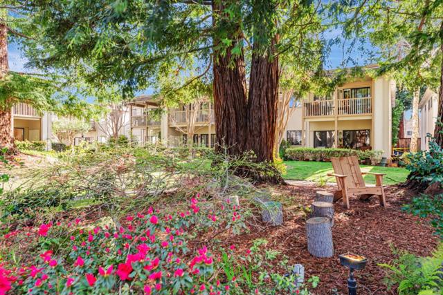 50 Horgan Avenue, Redwood City CA: https://media.crmls.org/mediaz/779e51bb-c404-4b60-8fe5-7c513230237e.jpg