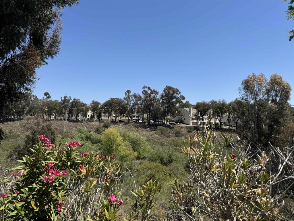 5687 Menorca Dr