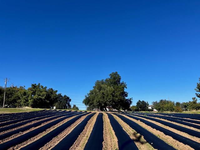 7314 Santa Juanita Avenue, Orangevale CA: https://media.crmls.org/mediaz/77a31e13-c919-4a19-b600-ad6c3d4a62be.jpg