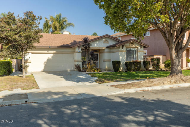 Front Image Thumbnail for CRV1-32796