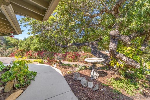 1131 Vale Terrace Dr, Vista CA: https://media.crmls.org/mediaz/77aae051-ca81-4e65-b9b4-c35e9b288e62.jpg
