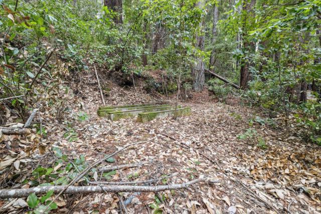 1365 Caledonia Avenue, Ben Lomond CA: https://media.crmls.org/mediaz/77b7782d-ff6b-4bc0-bfc5-2bff16b1a3ac.jpg