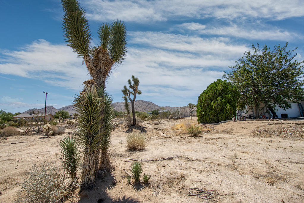 MLS #219138551PS image #10