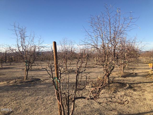 Detail Gallery Image 4 of 7 For 34738 Old Woman Springs Rd, Lucerne Valley,  CA 92356 - 3 Beds | 2 Baths