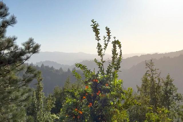 1315 Sunset Ridge Road, Los Gatos CA: https://media.crmls.org/mediaz/77bfaed1-13ac-41e1-91c5-928aa3ce77a6.jpg