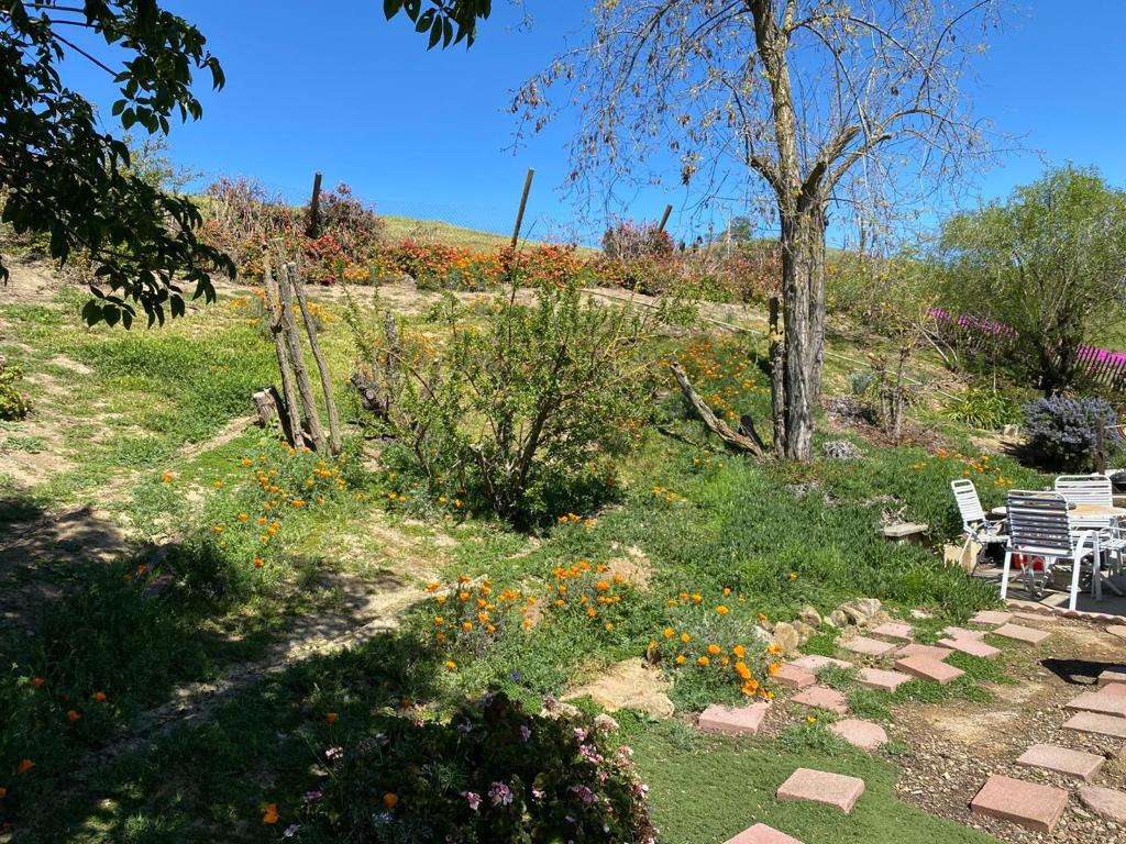 MLS #ML82001179 image #6