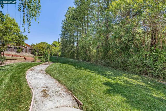 22 Ranger Ct, Alamo CA: https://media.crmls.org/mediaz/77cd4f87-b02a-4a85-bf8e-df989d7a90d9.jpg