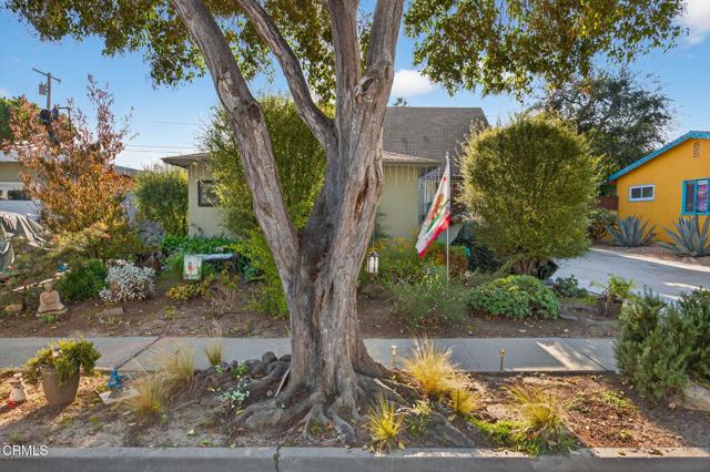 Detail Gallery Image 47 of 51 For 3146 Strathmore Dr, Ventura,  CA 93003 - 4 Beds | 2 Baths