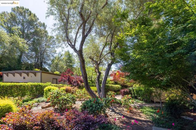 128 Alamo Sq, Alamo CA: https://media.crmls.org/mediaz/77d1a9e0-36c7-4772-b504-aefb6e408a01.jpg
